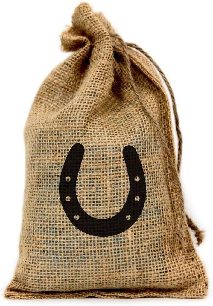 purim theme, horseback theme, carnival, horse boxes, mishloach manos, purim ideas