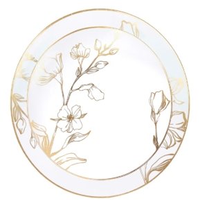 Party Plastic Plates
